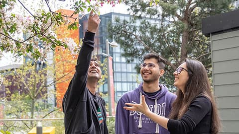 students looking at tree blossom