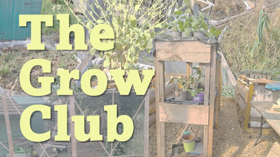 The Grow Club promotional poster